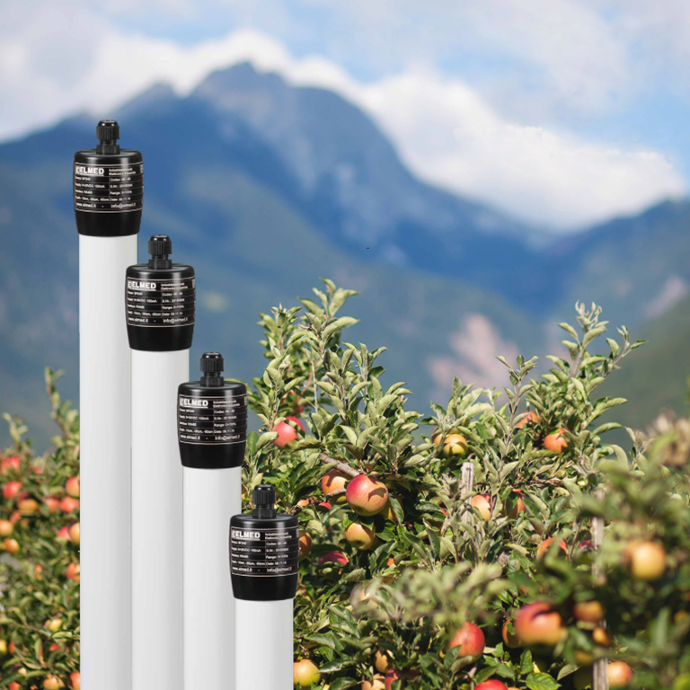 Umidità del terreno BFS-40 con RS485